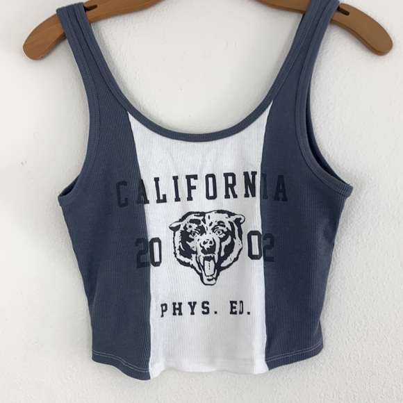 Hollister Tops - Hollister California Gray/White Cropped Graphic Cotton Tank Top Size M